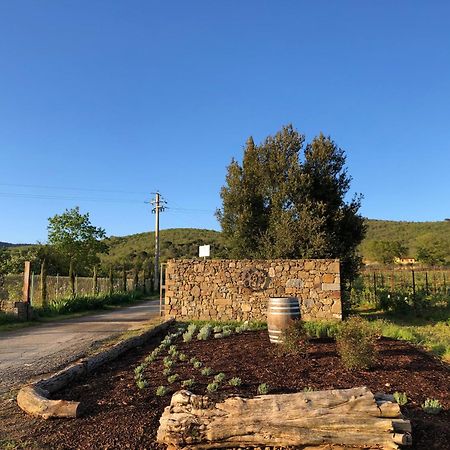 Agriturismo La Posta Reale Castiglion Fibocchi Kültér fotó