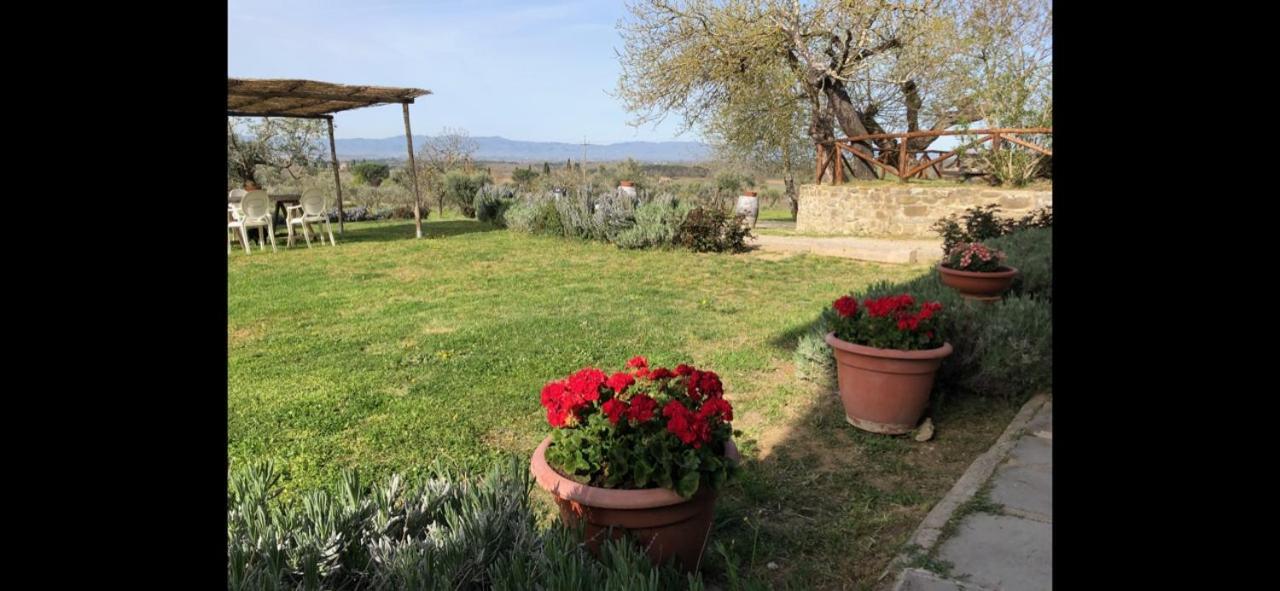 Agriturismo La Posta Reale Castiglion Fibocchi Kültér fotó