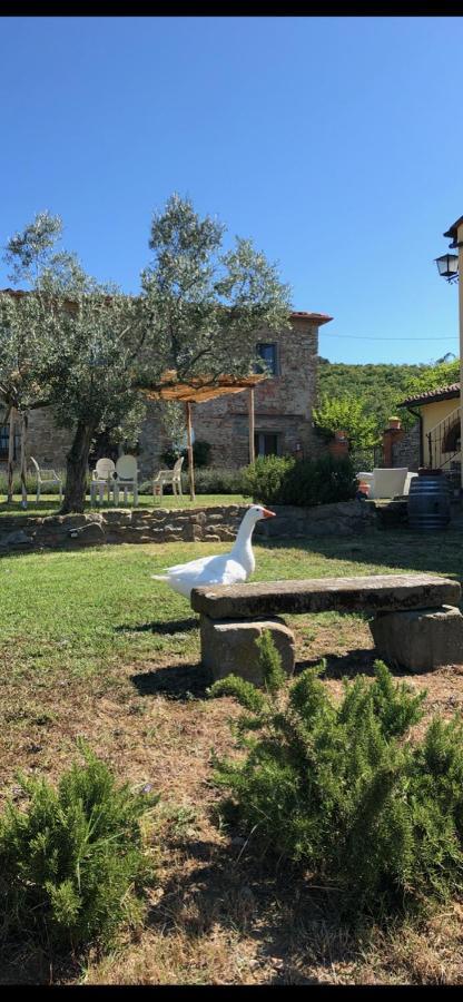 Agriturismo La Posta Reale Castiglion Fibocchi Kültér fotó