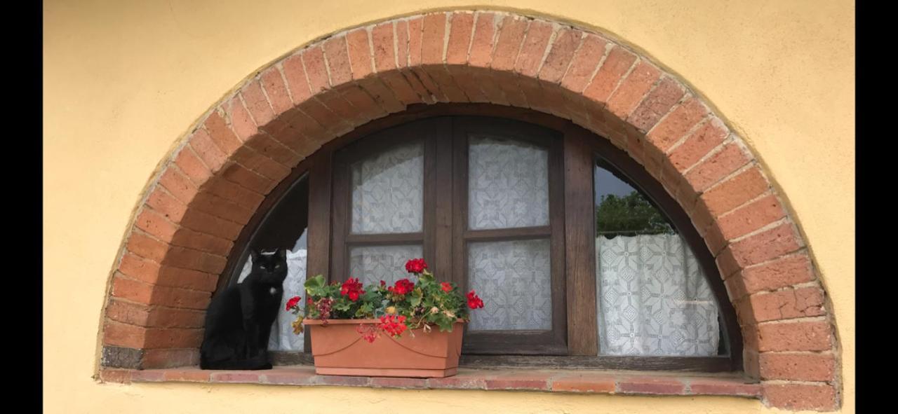 Agriturismo La Posta Reale Castiglion Fibocchi Kültér fotó