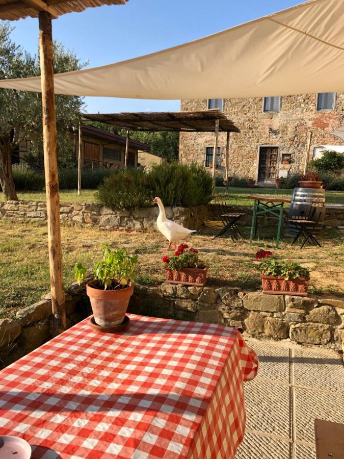 Agriturismo La Posta Reale Castiglion Fibocchi Kültér fotó