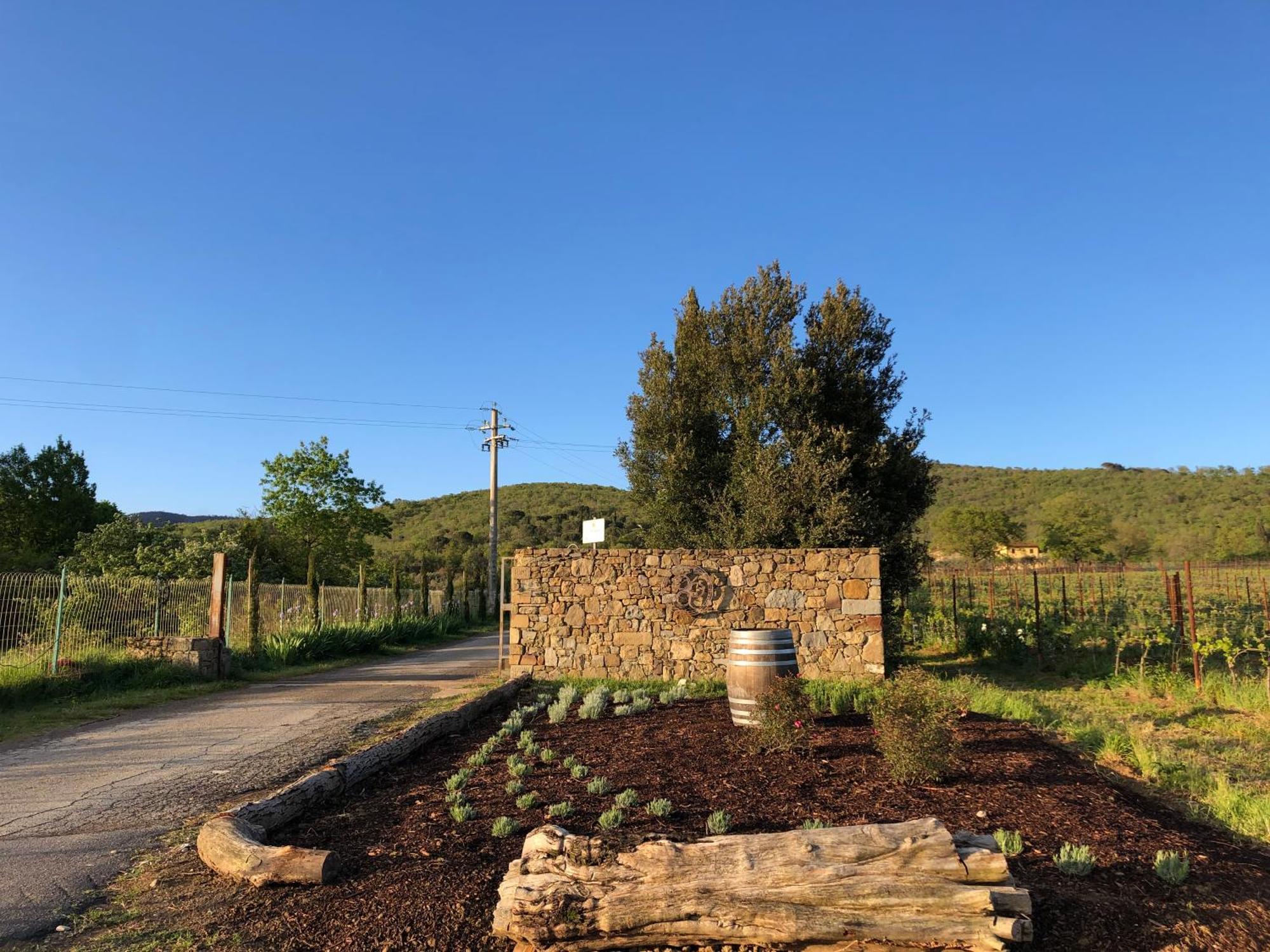 Agriturismo La Posta Reale Castiglion Fibocchi Kültér fotó