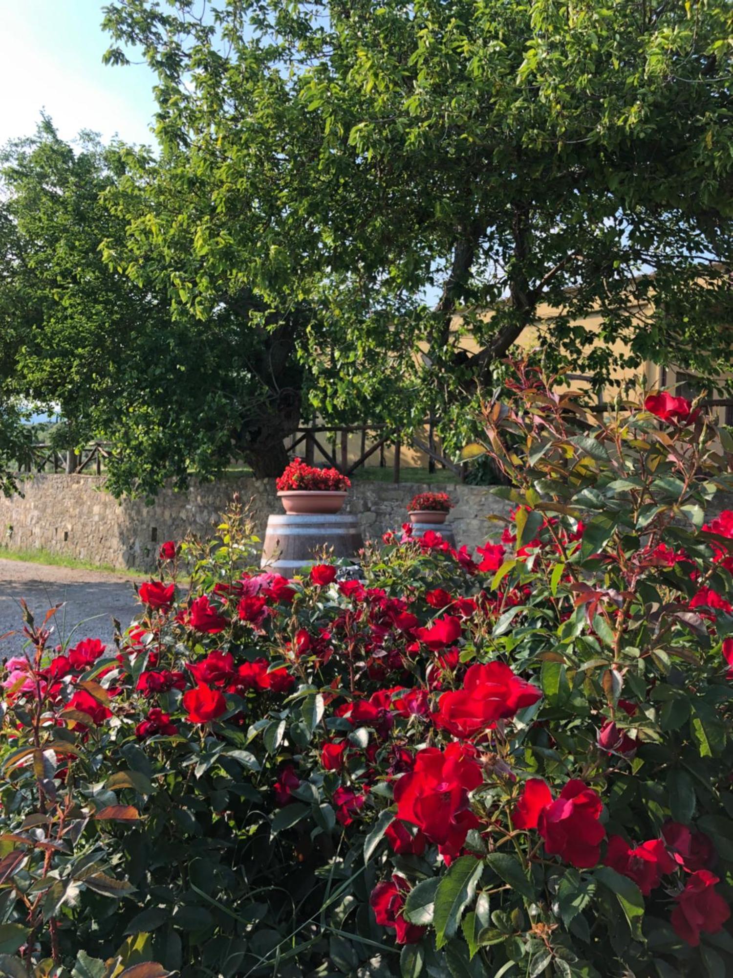 Agriturismo La Posta Reale Castiglion Fibocchi Kültér fotó