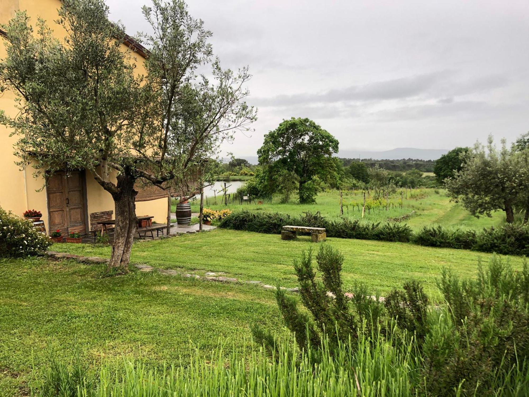 Agriturismo La Posta Reale Castiglion Fibocchi Kültér fotó