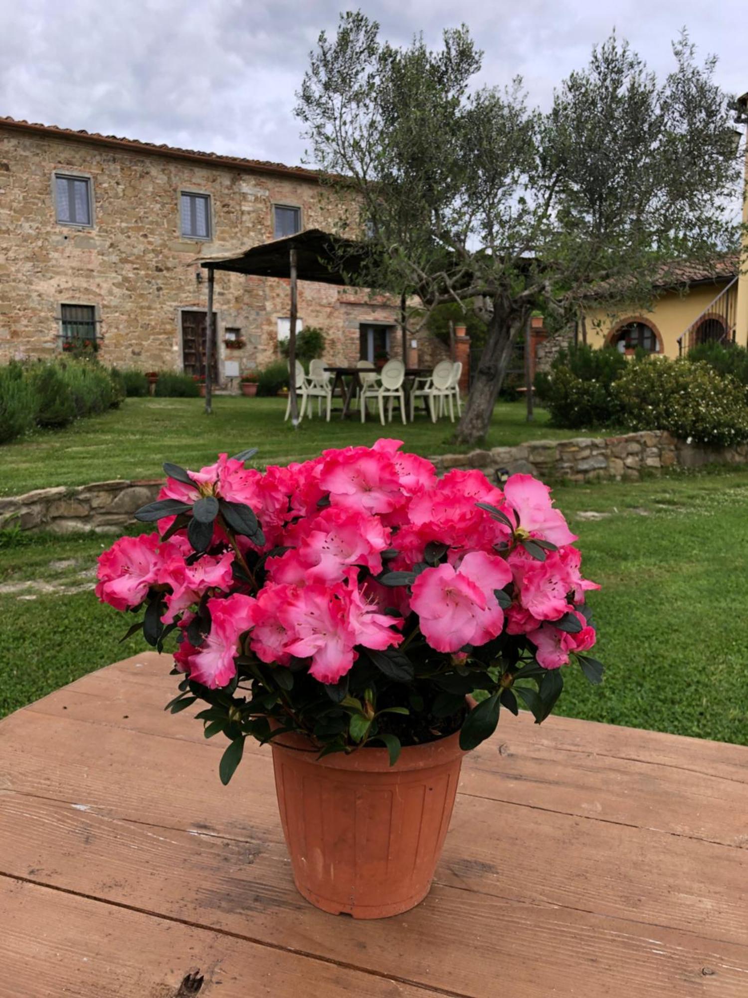 Agriturismo La Posta Reale Castiglion Fibocchi Kültér fotó