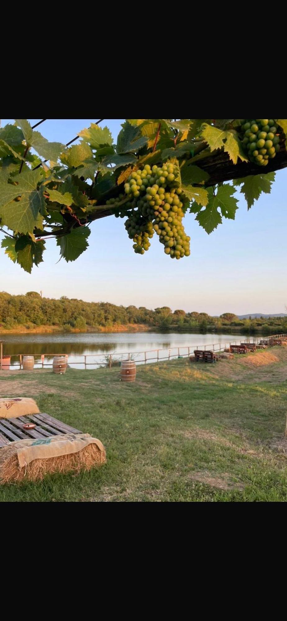 Agriturismo La Posta Reale Castiglion Fibocchi Kültér fotó