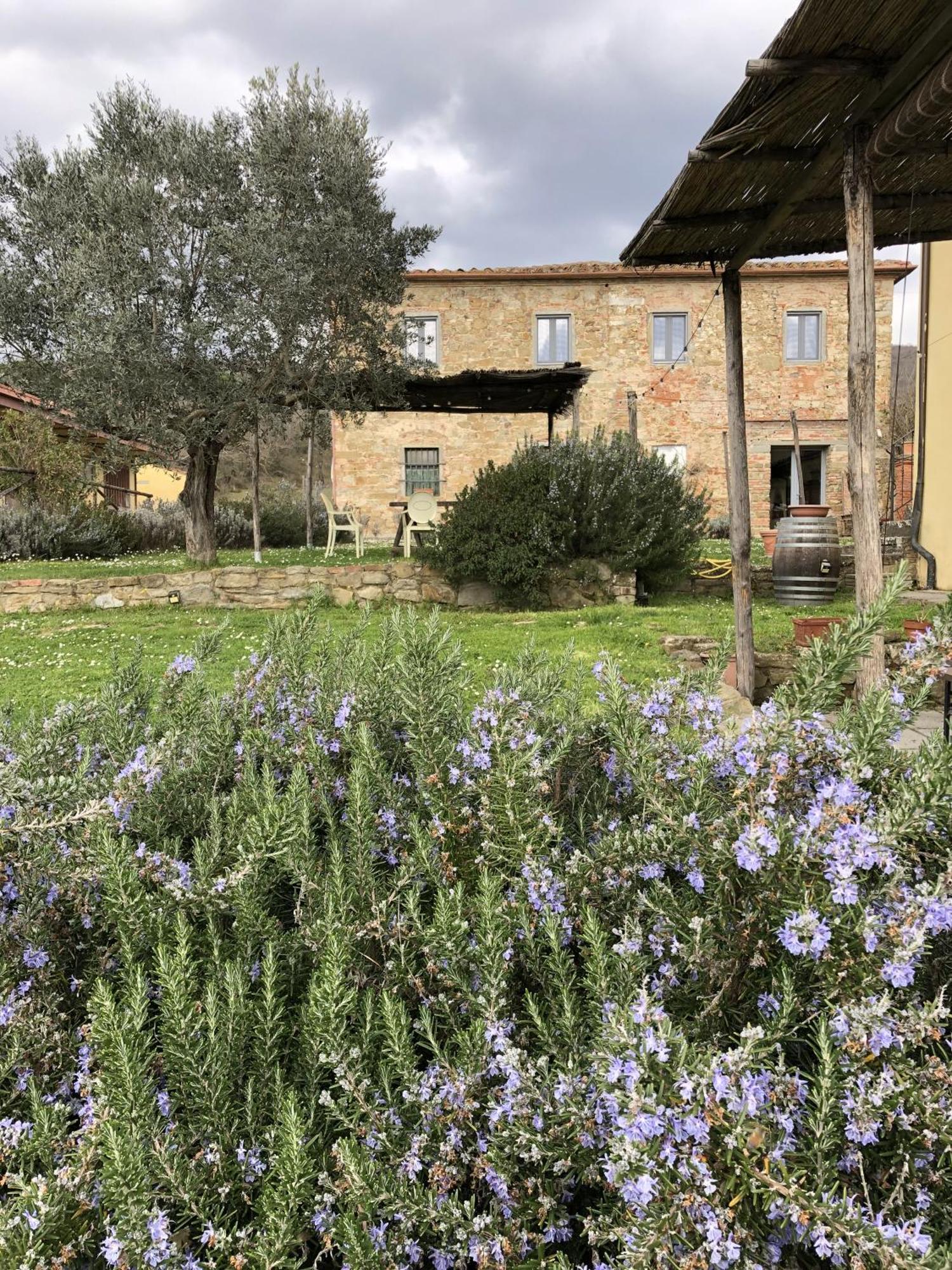 Agriturismo La Posta Reale Castiglion Fibocchi Kültér fotó