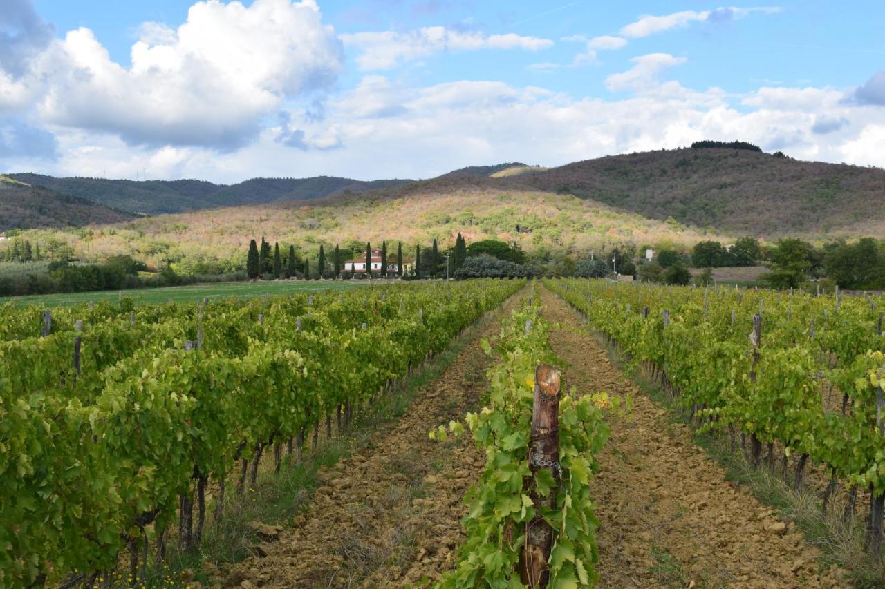 Agriturismo La Posta Reale Castiglion Fibocchi Kültér fotó